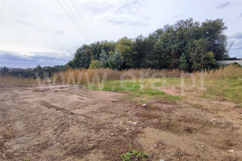 Terreno para Construção / Ponte de Lima, Feitosa