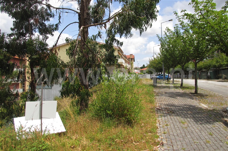 Lote  Ponte de Lima, Feitosa - 99170 - 1