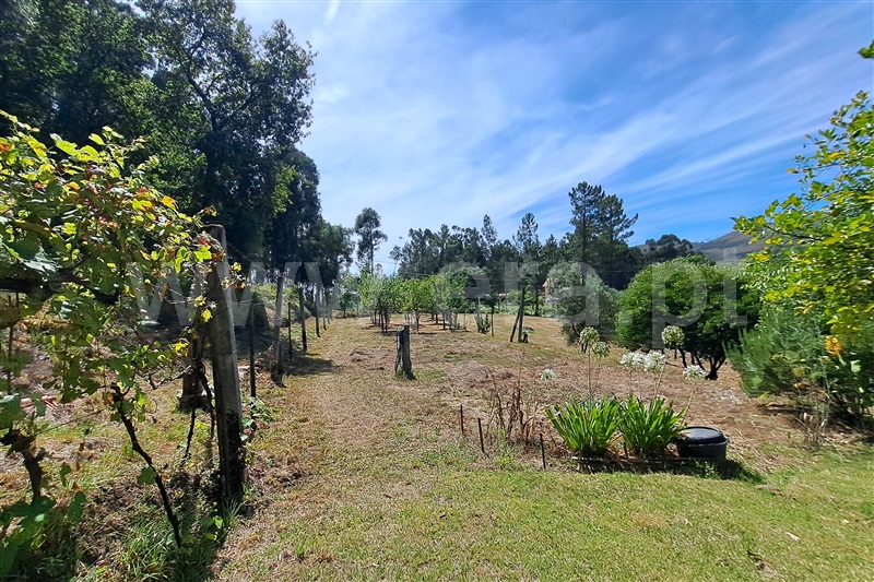 Terreno para Construção  Ponte de Lima, Fojo Lobal - 1383134 - 6