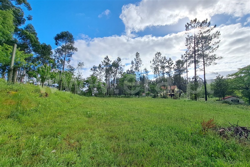 Terreno para Construção  Ponte de Lima, Fojo Lobal - 1383134 - 4
