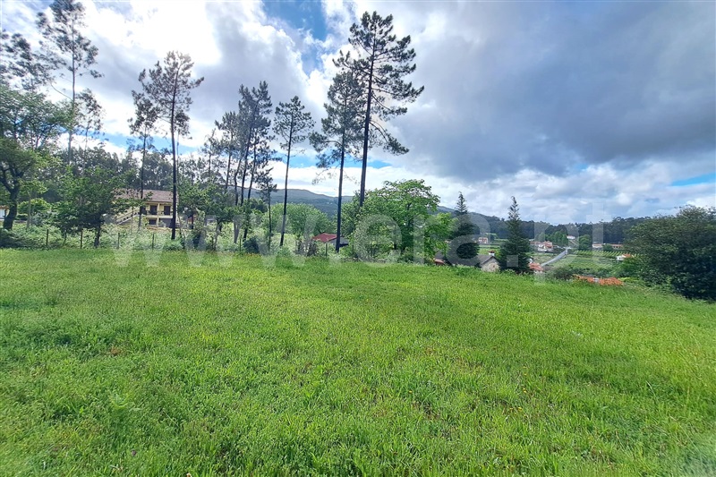 Terreno para Construção  Ponte de Lima, Fojo Lobal - 1383134 - 6