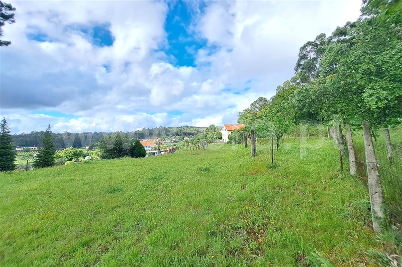 Terreno para Construção / Ponte de Lima, Fojo Lobal