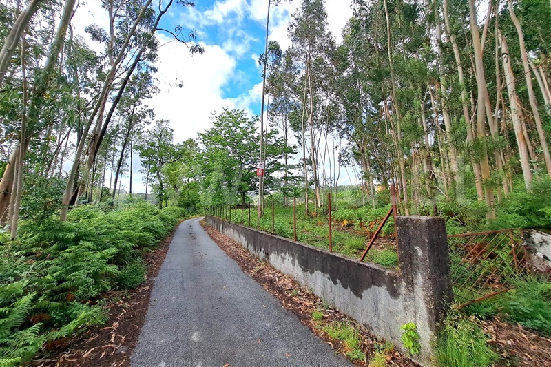 Terreno para Construção  Ponte de Lima, Fojo Lobal - 1406542 - 1