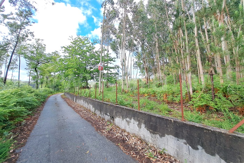 Terreno para Construção  Ponte de Lima, Fojo Lobal - 1406542 - 2