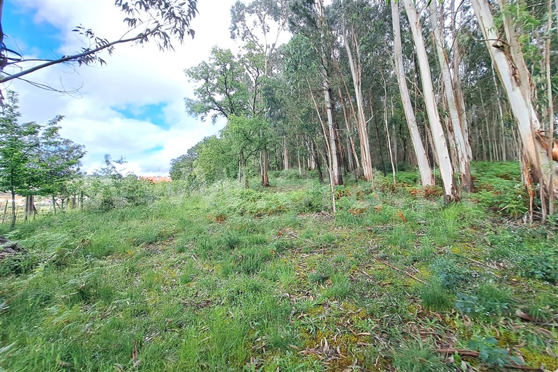 Terreno para Construção  Ponte de Lima, Fojo Lobal - 1406542 - 3