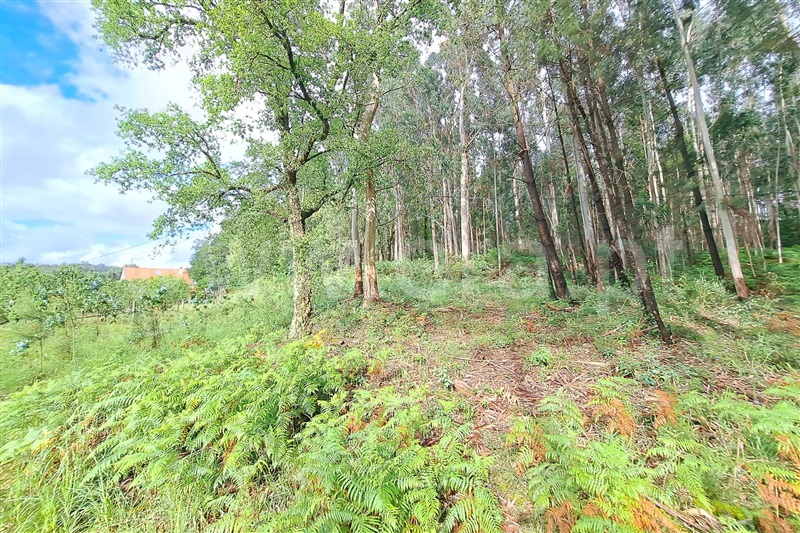 Terreno para Construção  Ponte de Lima, Fojo Lobal - 1406542 - 4