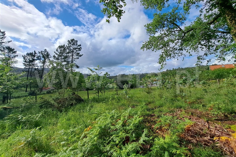 Terreno para Construção  Ponte de Lima, Fojo Lobal - 1406542 - 5