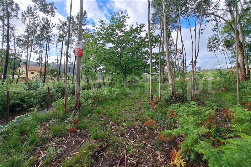 Terreno para Construção / Ponte de Lima, Fojo Lobal