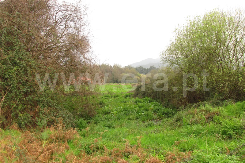 Terreno para Construção  Ponte de Lima, Fontão - 1077478 - 5