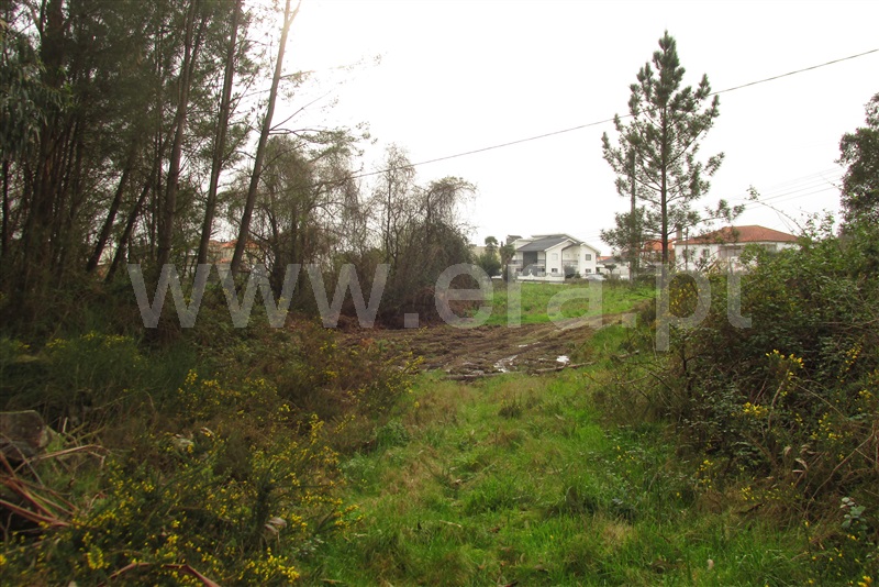 Terreno para Construção  Ponte de Lima, Fontão - 1077478 - 6