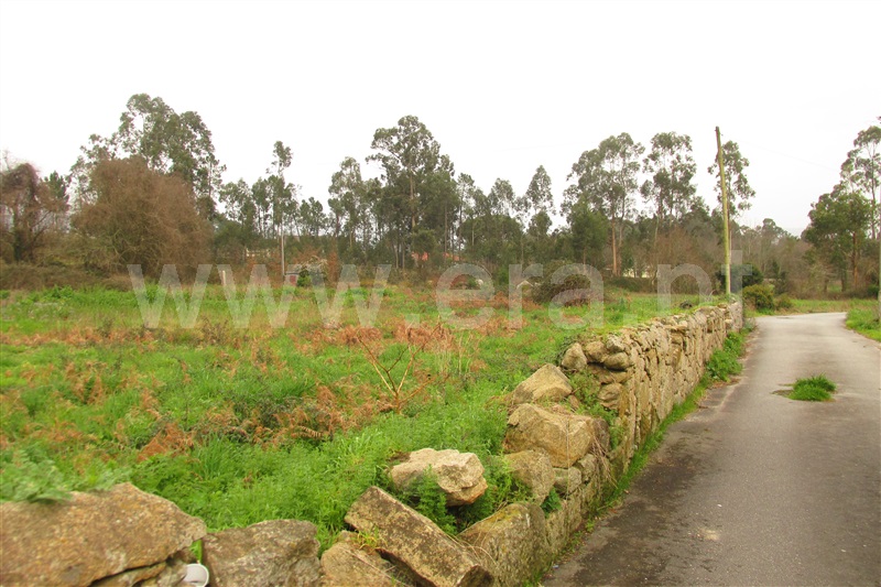 Terreno para Construção  Ponte de Lima, Fontão - 1077478 - 8