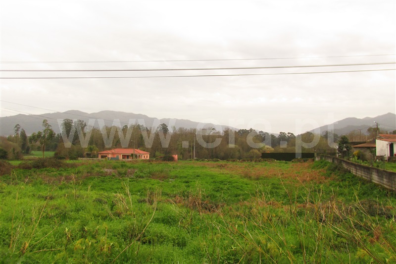 Terreno para Construção / Ponte de Lima, Fontão