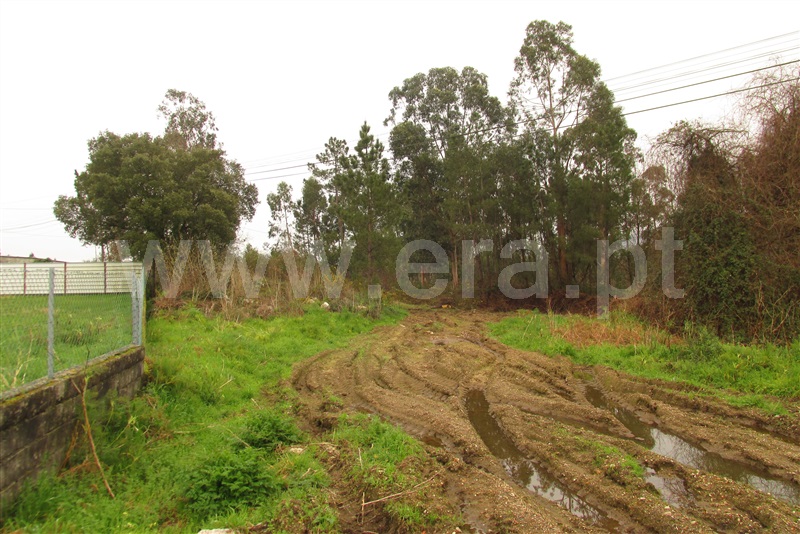 Terreno para Construção  Ponte de Lima, Fontão - 1077486 - 8