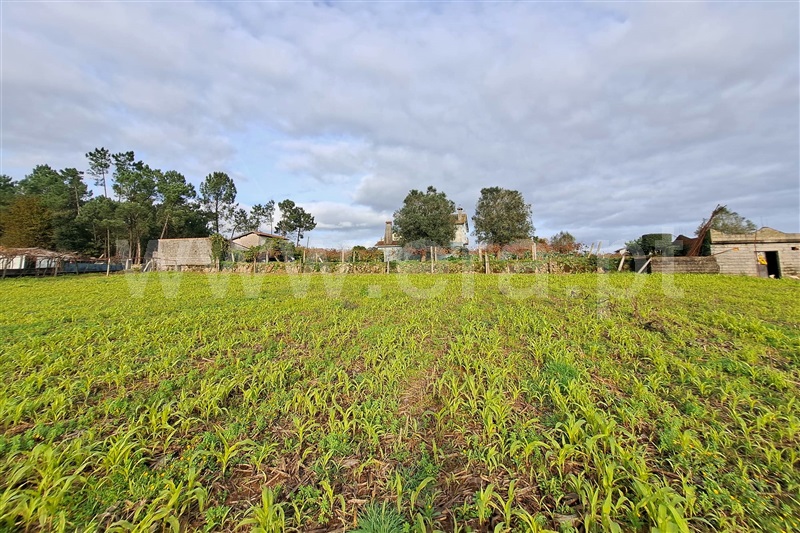Terreno para Construção  Ponte de Lima, Fontão - 1290340 - 2