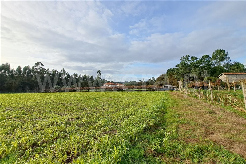 Terreno para Construção  Ponte de Lima, Fontão - 1290340 - 4