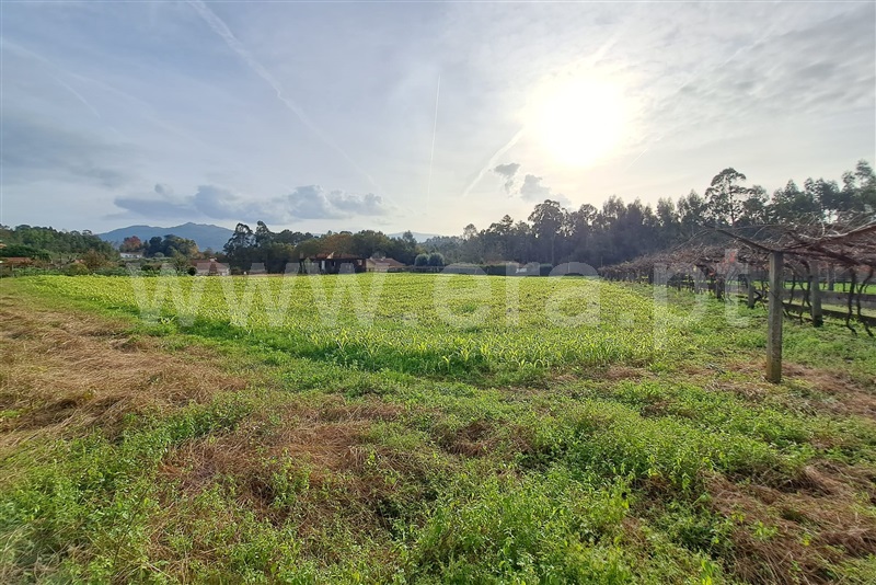 Terreno para Construção / Ponte de Lima, Fontão