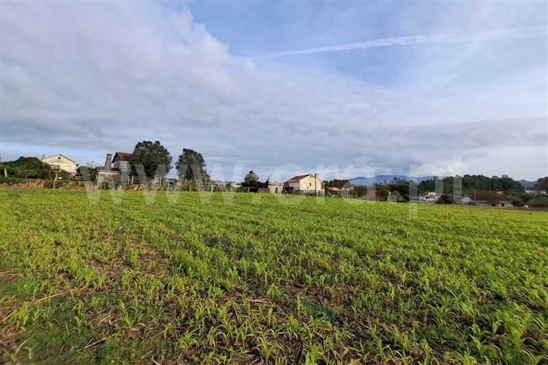 Terreno para Construção / Ponte de Lima, Fontão