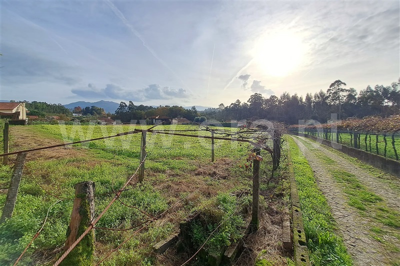 Terreno para Construção  Ponte de Lima, Fontão - 1290342 - 7