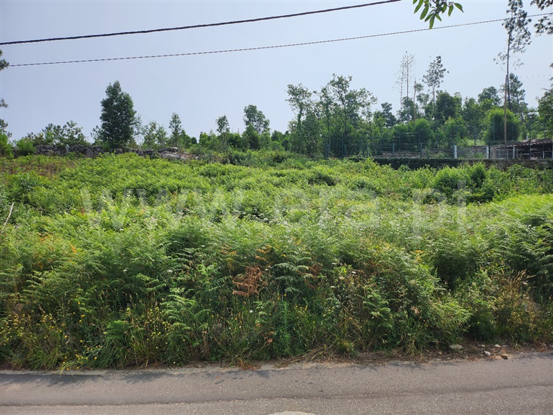Terreno para Construção / Ponte de Lima, Fontão