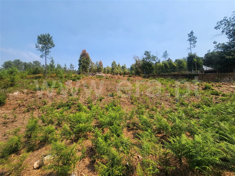Terreno para Construção  Ponte de Lima, Fontão - 1338133 - 4