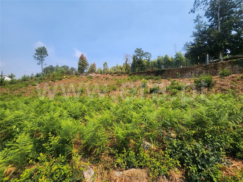 Terreno para Construção  Ponte de Lima, Fontão - 1338133 - 5