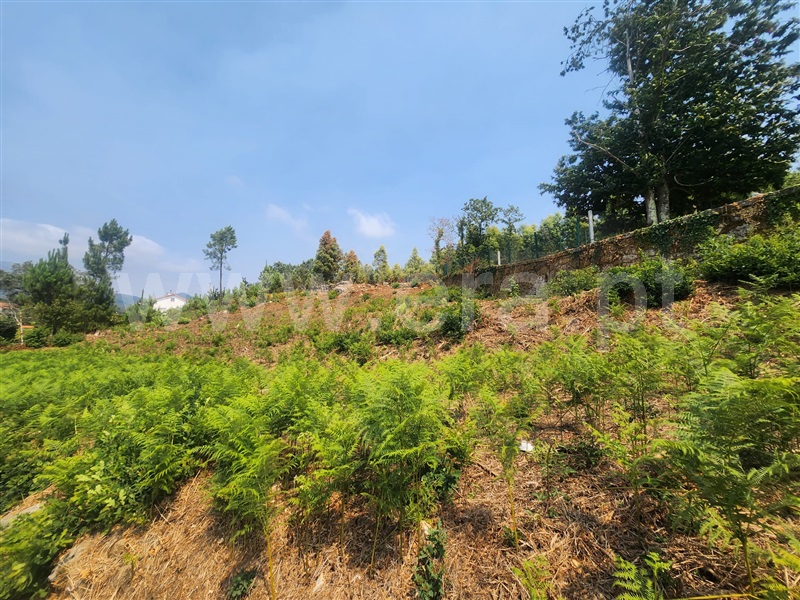 Terreno para Construção  Ponte de Lima, Fontão - 1338133 - 6