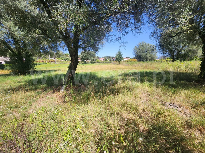 Terreno para Construção / Ponte de Lima, Fontão