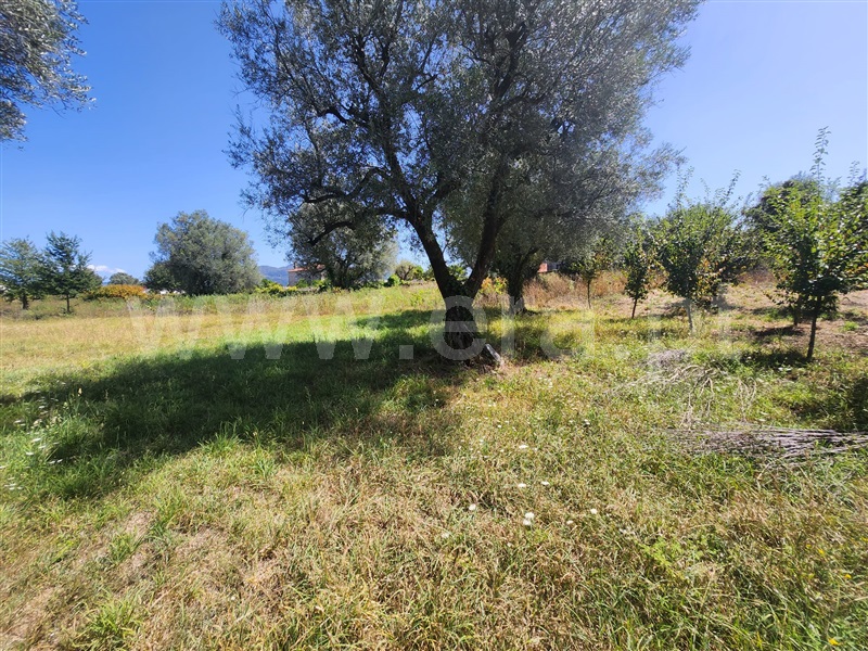 Terreno para Construção  Ponte de Lima, Fontão - 1346812 - 3