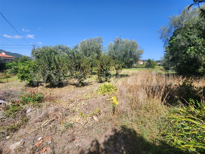 Terreno para Construção  Ponte de Lima, Fontão - 1346812 - 4