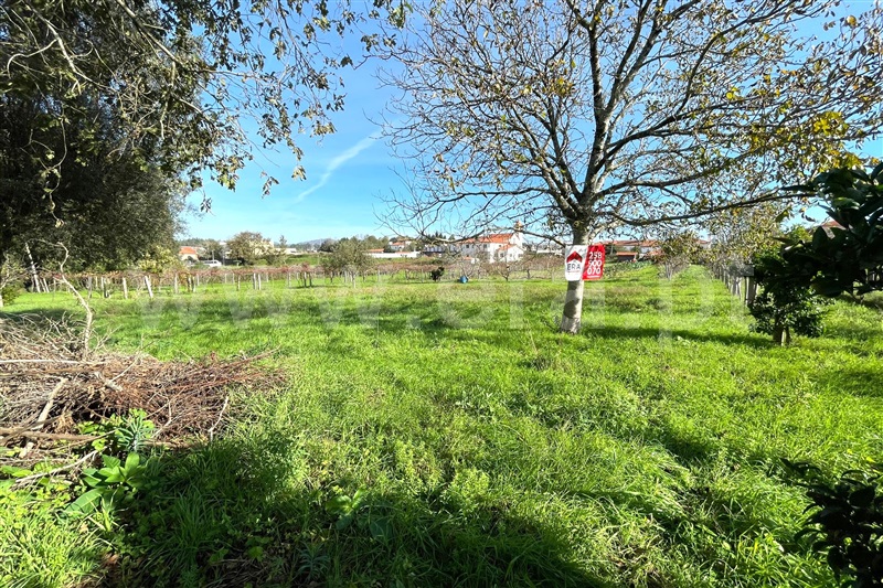 Terreno para Construção / Ponte de Lima, Fontão
