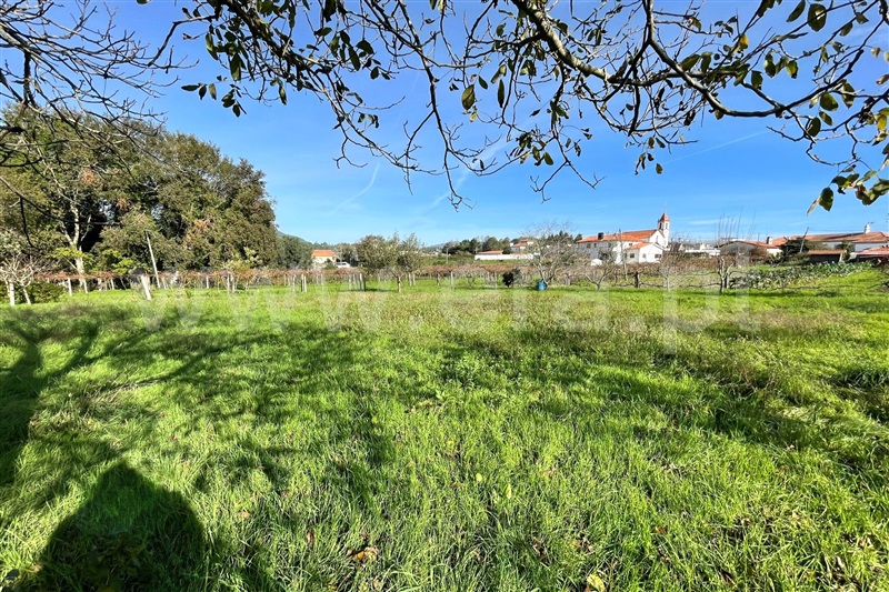 Terreno para Construção  Ponte de Lima, Fontão - 1445518 - 5