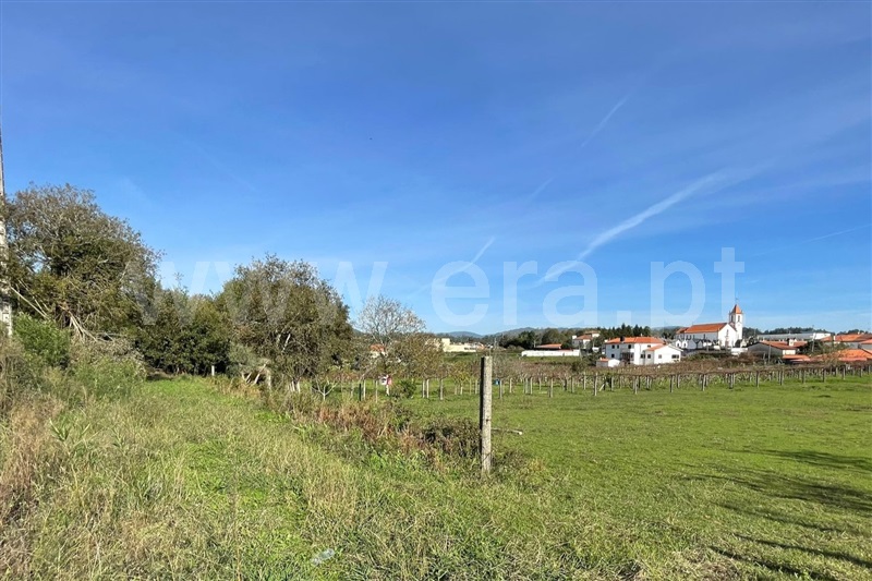 Terreno para Construção  Ponte de Lima, Fontão - 1445518 - 8