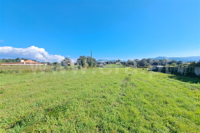 Terreno para Construção  Ponte de Lima, Fontão - 1513245 - 4