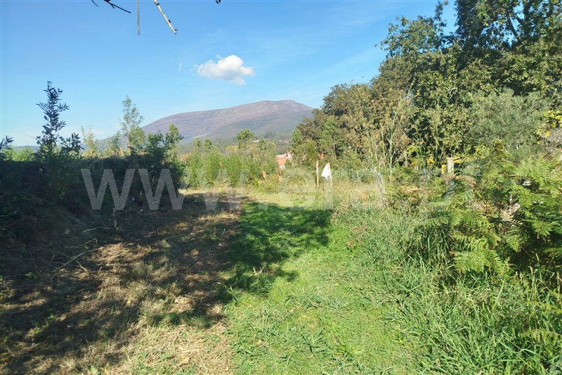 Terreno para Construção  Ponte de Lima, Fontão - 1513439 - 1