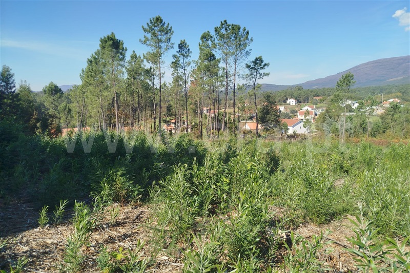 Terreno para Construção  Ponte de Lima, Fontão - 1513439 - 2