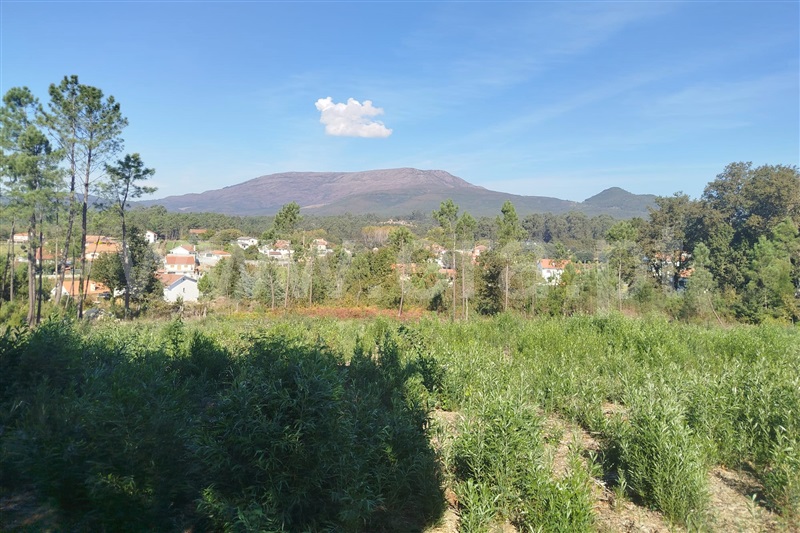 Terreno para Construção  Ponte de Lima, Fontão - 1513439 - 3