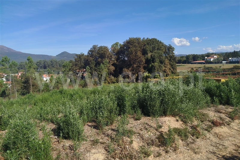 Terreno para Construção / Ponte de Lima, Fontão