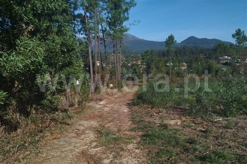 Terreno para Construção  Ponte de Lima, Fontão - 1513439 - 6