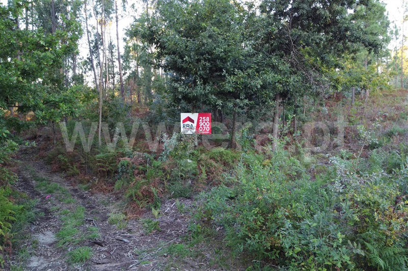Terreno para Construção  Ponte de Lima, Freixo - 1152931 - 1