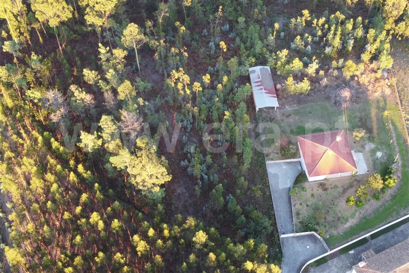 Terreno para Construção  Ponte de Lima, Freixo - 1152931 - 4