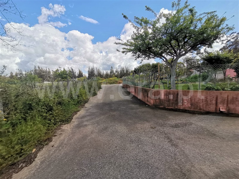 Terreno para Construção  Ponte de Lima, Freixo - 1245977 - 5