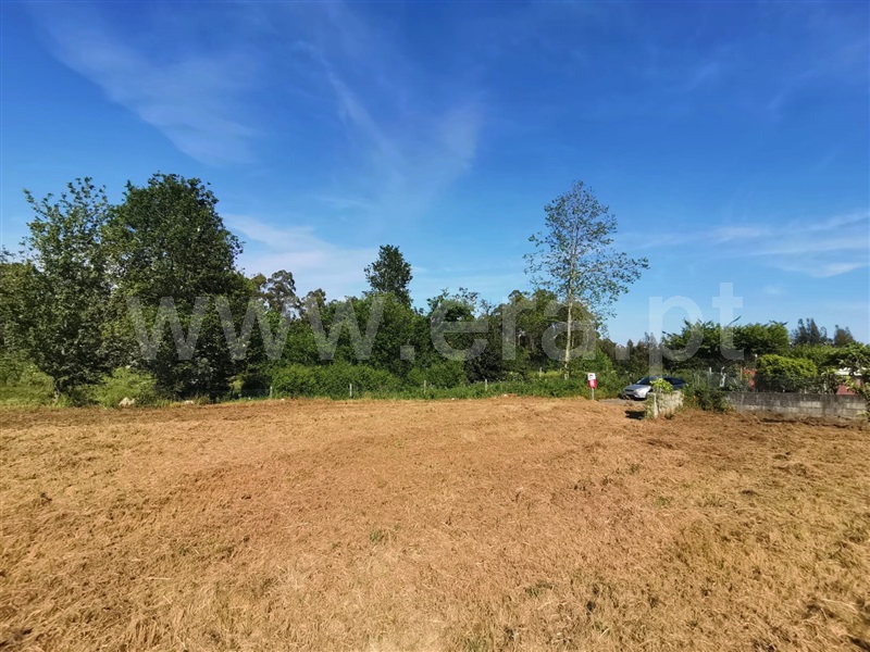 Terreno para Construção  Ponte de Lima, Freixo - 1245977 - 3