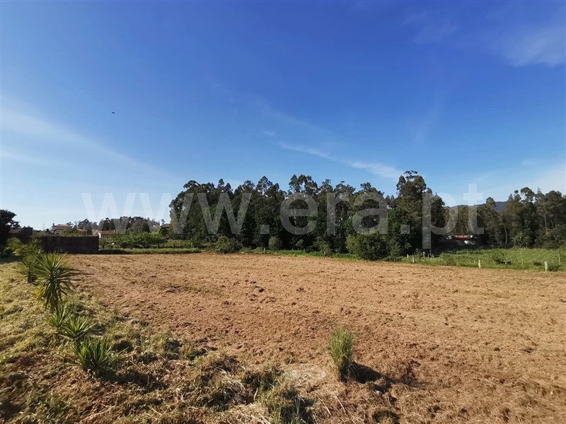 Terreno para Construção  Ponte de Lima, Freixo - 1245977 - 6