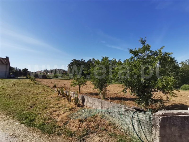 Terreno para Construção  Ponte de Lima, Freixo - 1245977 - 7