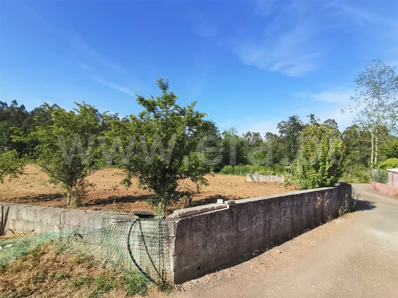 Terreno para Construção  Ponte de Lima, Freixo - 1245977 - 9