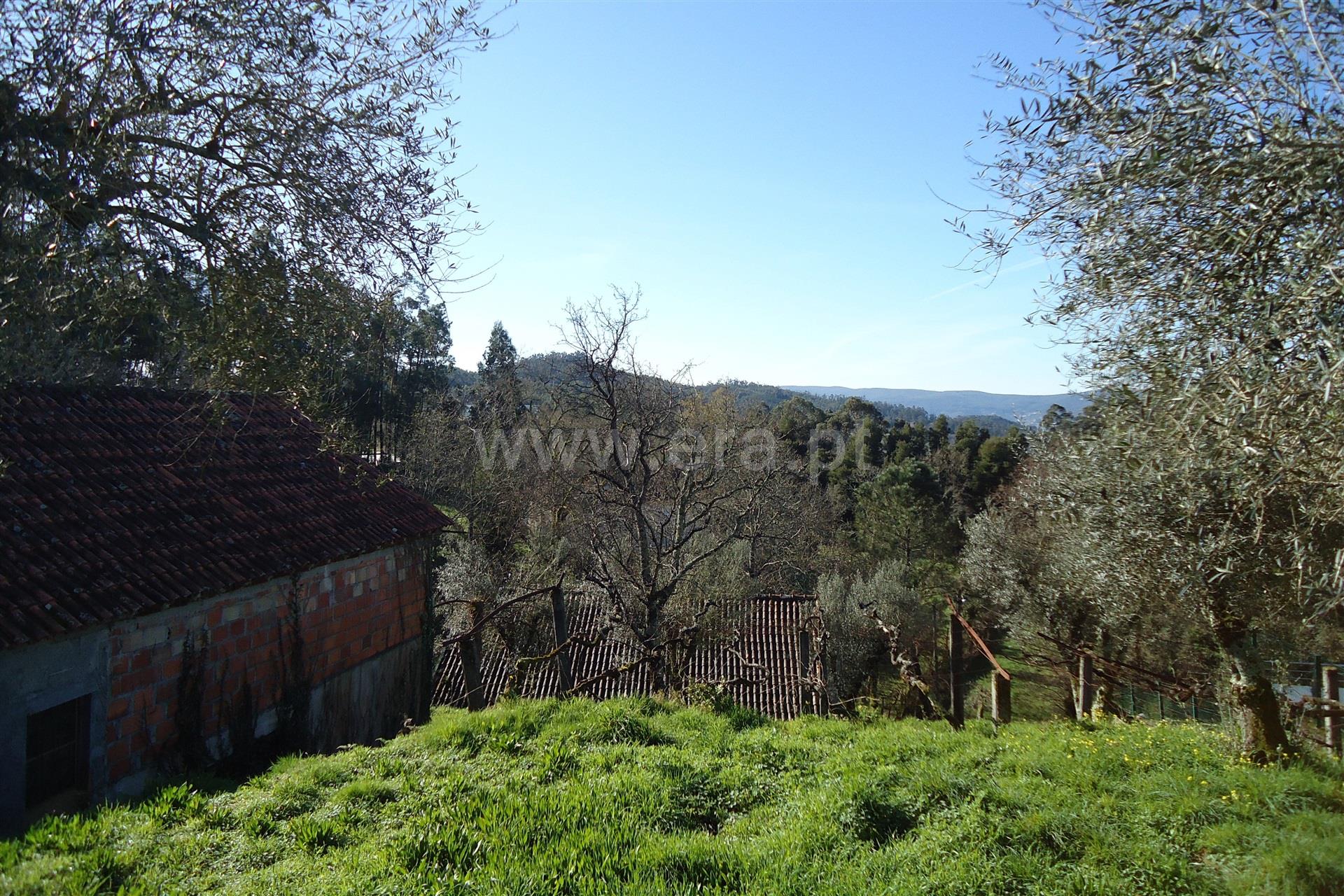 Land for sale in Ponte de Lima, Portugal — €125,000