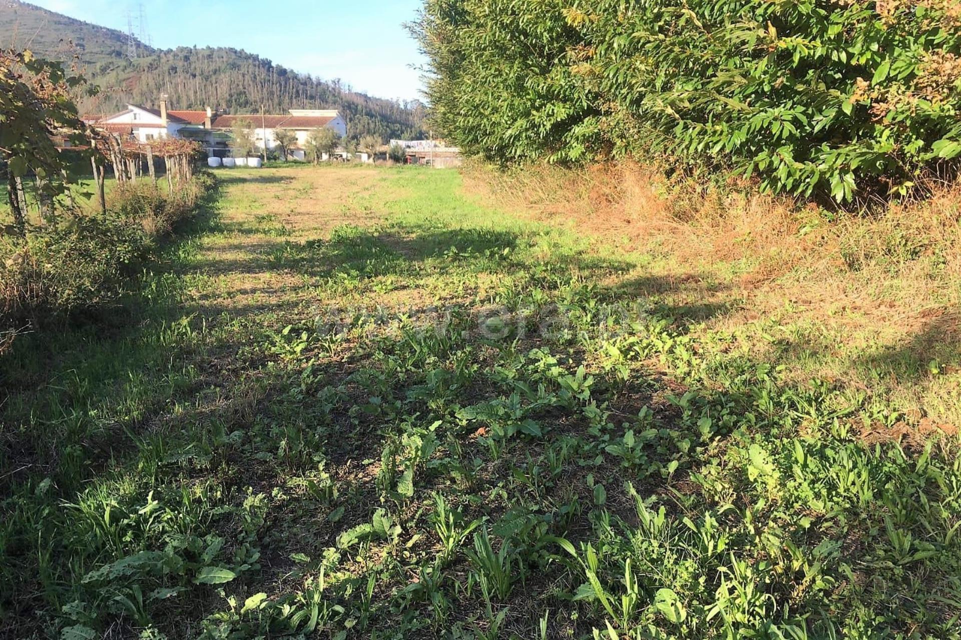 Land for sale in Ponte de Lima, Portugal — €56,000