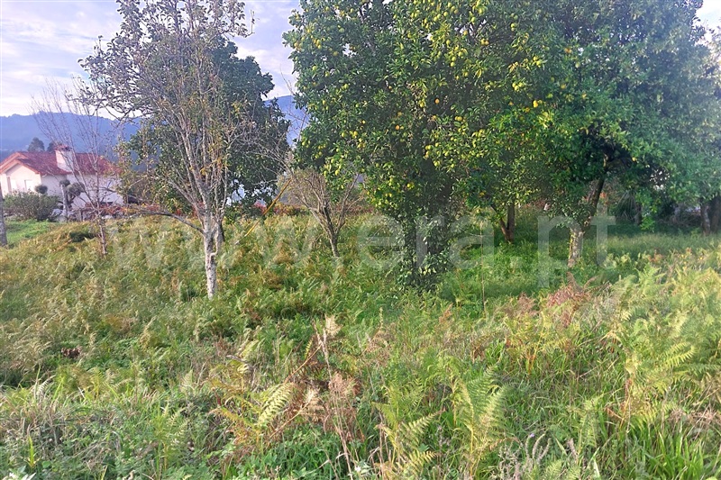 Terreno para Construção  Ponte de Lima, Gemieira - 1440951 - 7