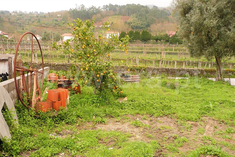 Terreno para Construção  Ponte de Lima, Gemieira - 898982 - 3