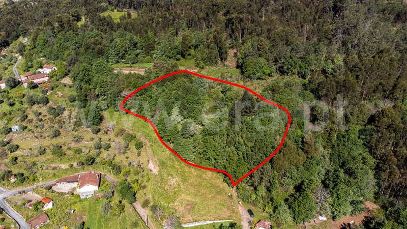 Terreno para Construção  Ponte de Lima, Labruja - 1472561 - 3